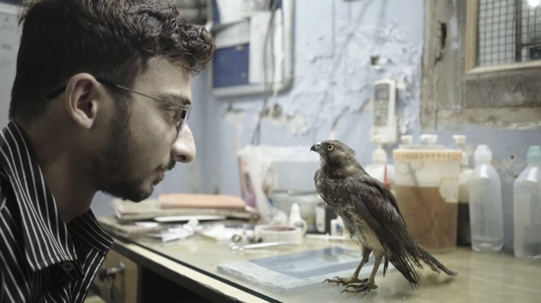 All That Breathes Fragmanı