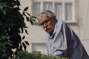 Türkiye'nin Oscar Aday Adayı Belli Oldu: "Kesilmiş Bir Ağaç Gibi" Akademi Yolcusu.