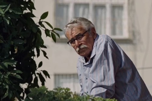 Türkiye'nin Oscar Aday Adayı Belli Oldu: "Kesilmiş Bir Ağaç Gibi" Akademi Yolcusu.