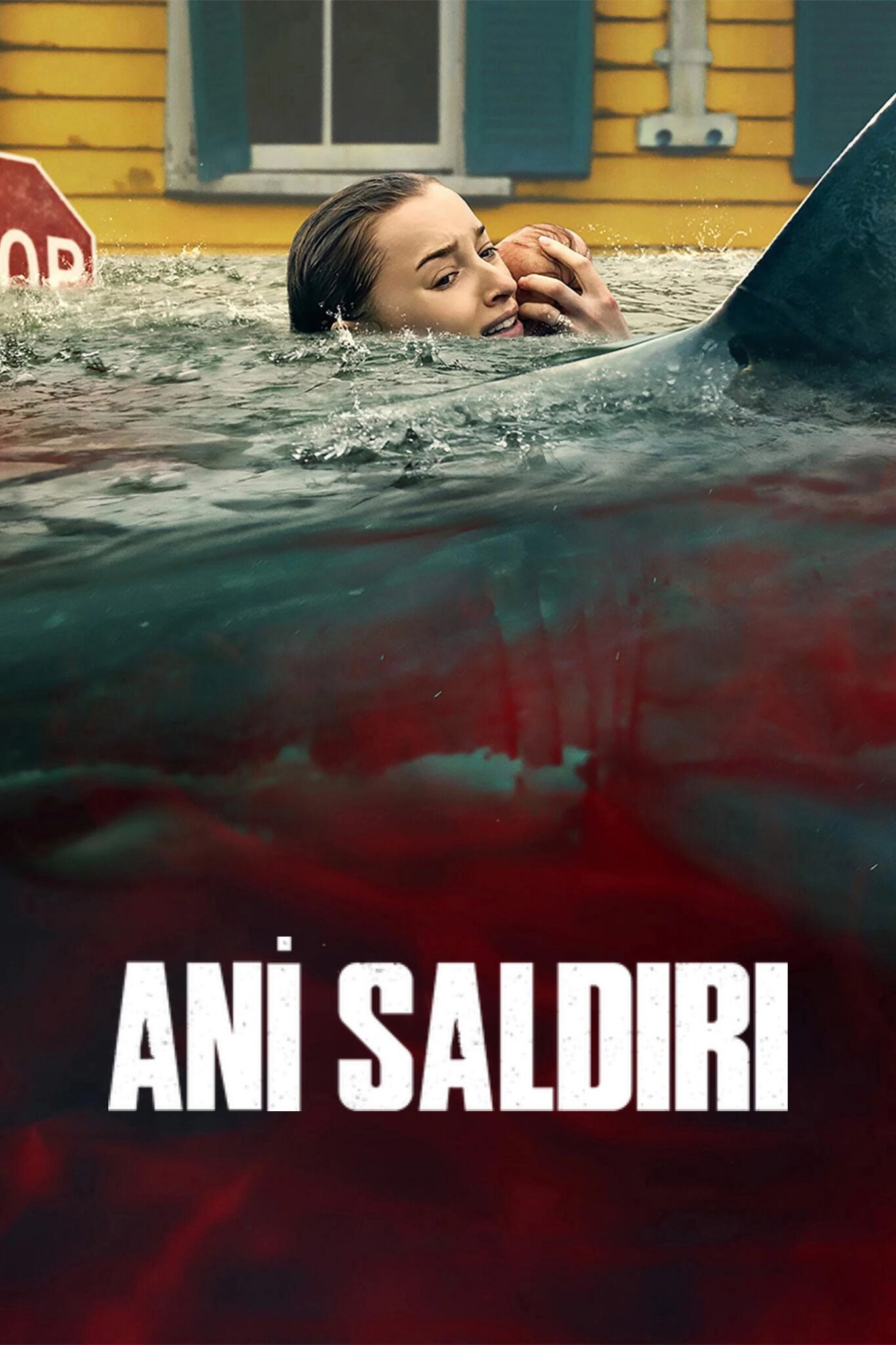 Ani Saldırı
