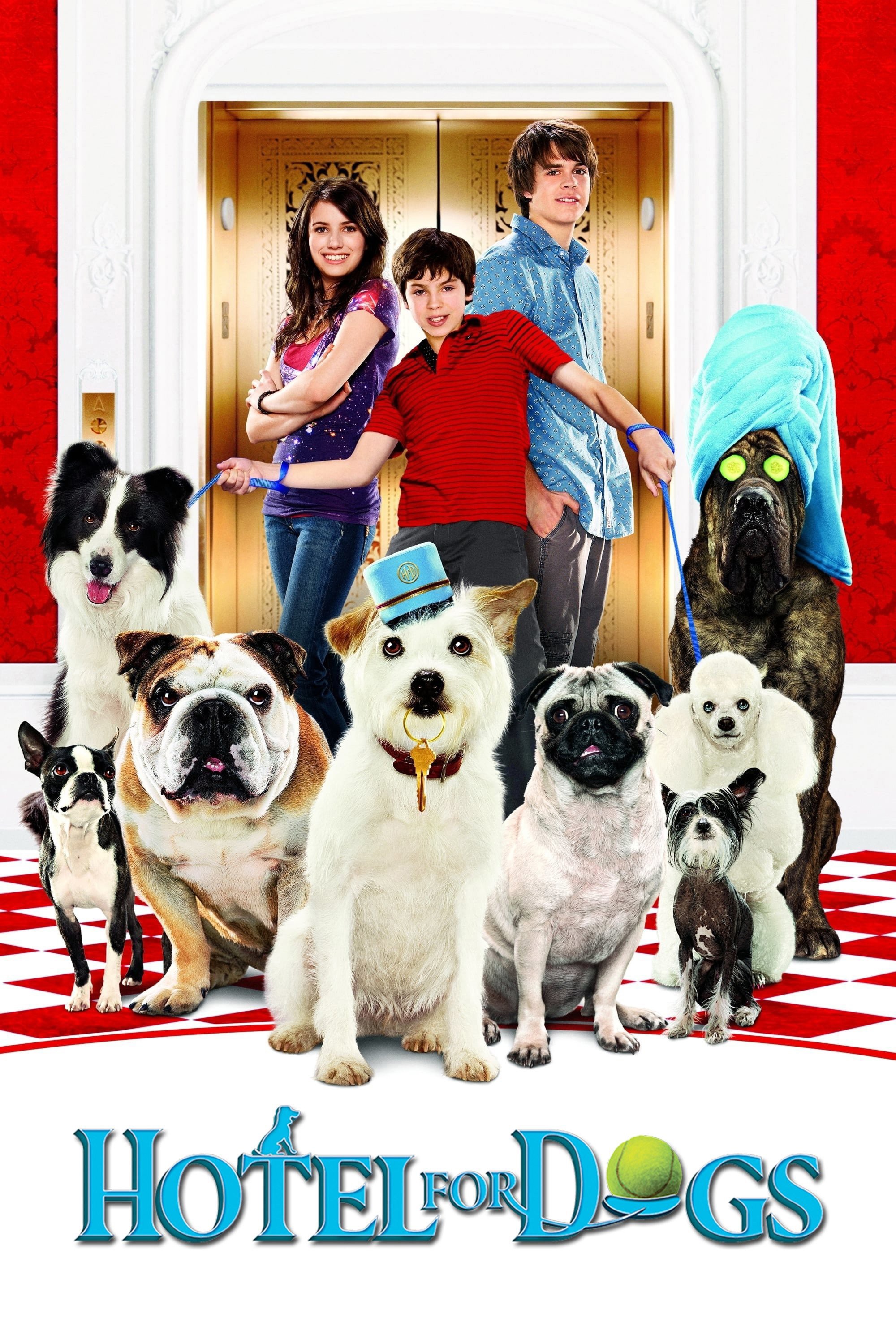 Köpek Oteli
