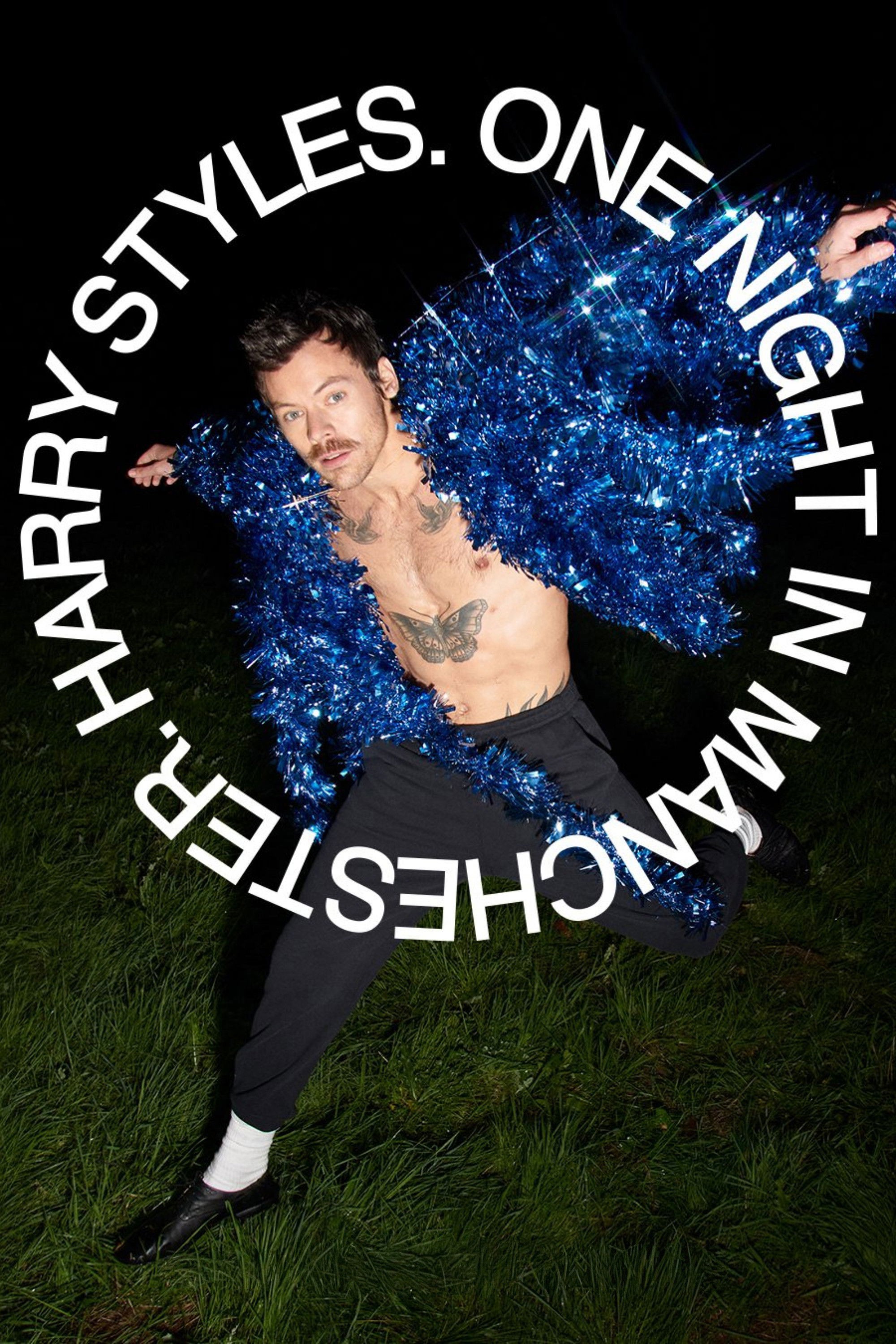 Harry Styles: Manchester'da Bir Gece