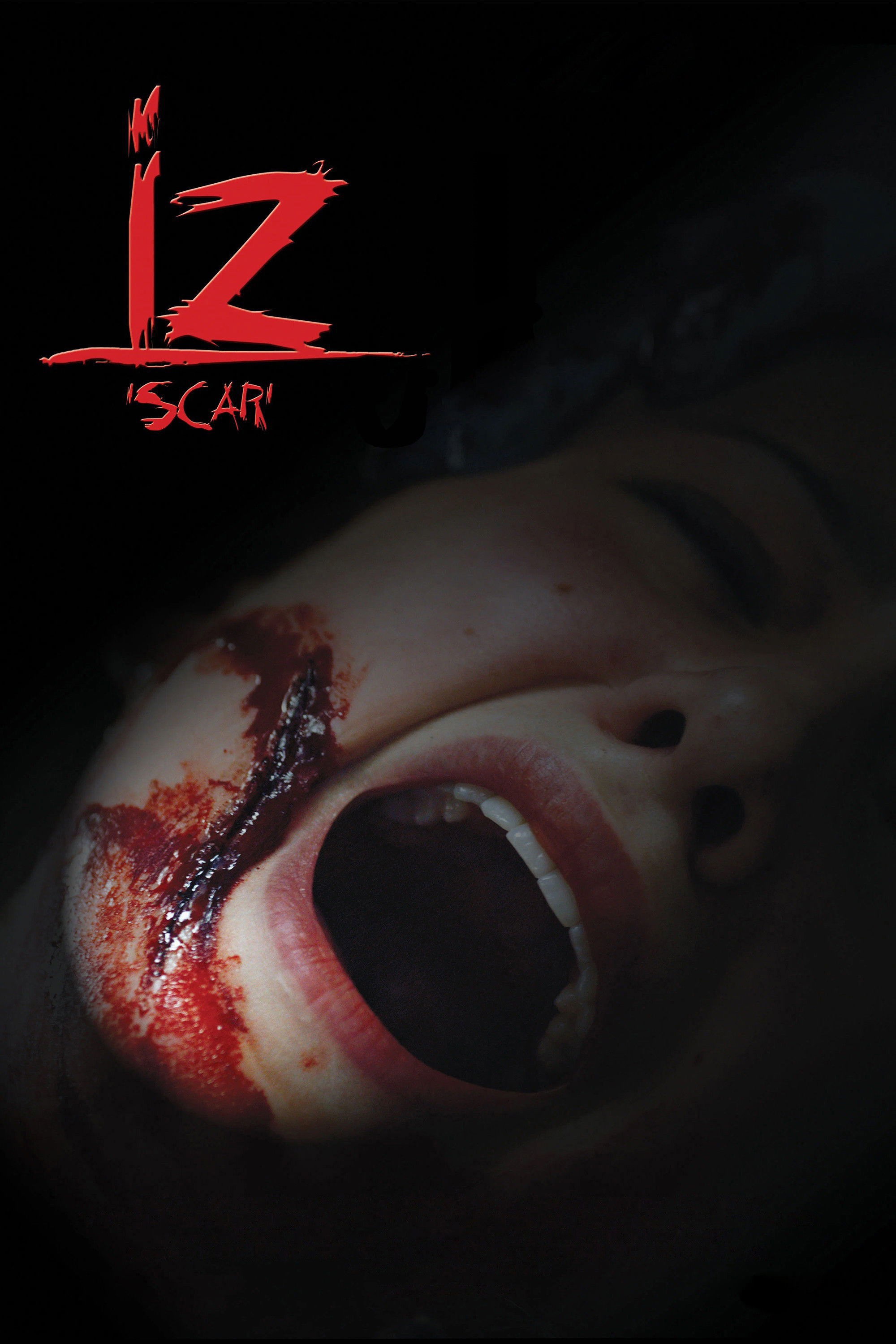 İz 3D