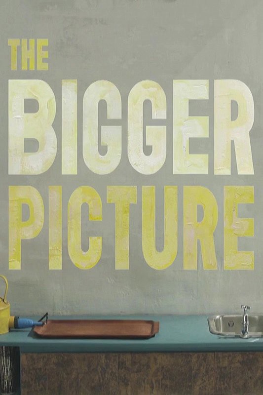 The Bigger Picture