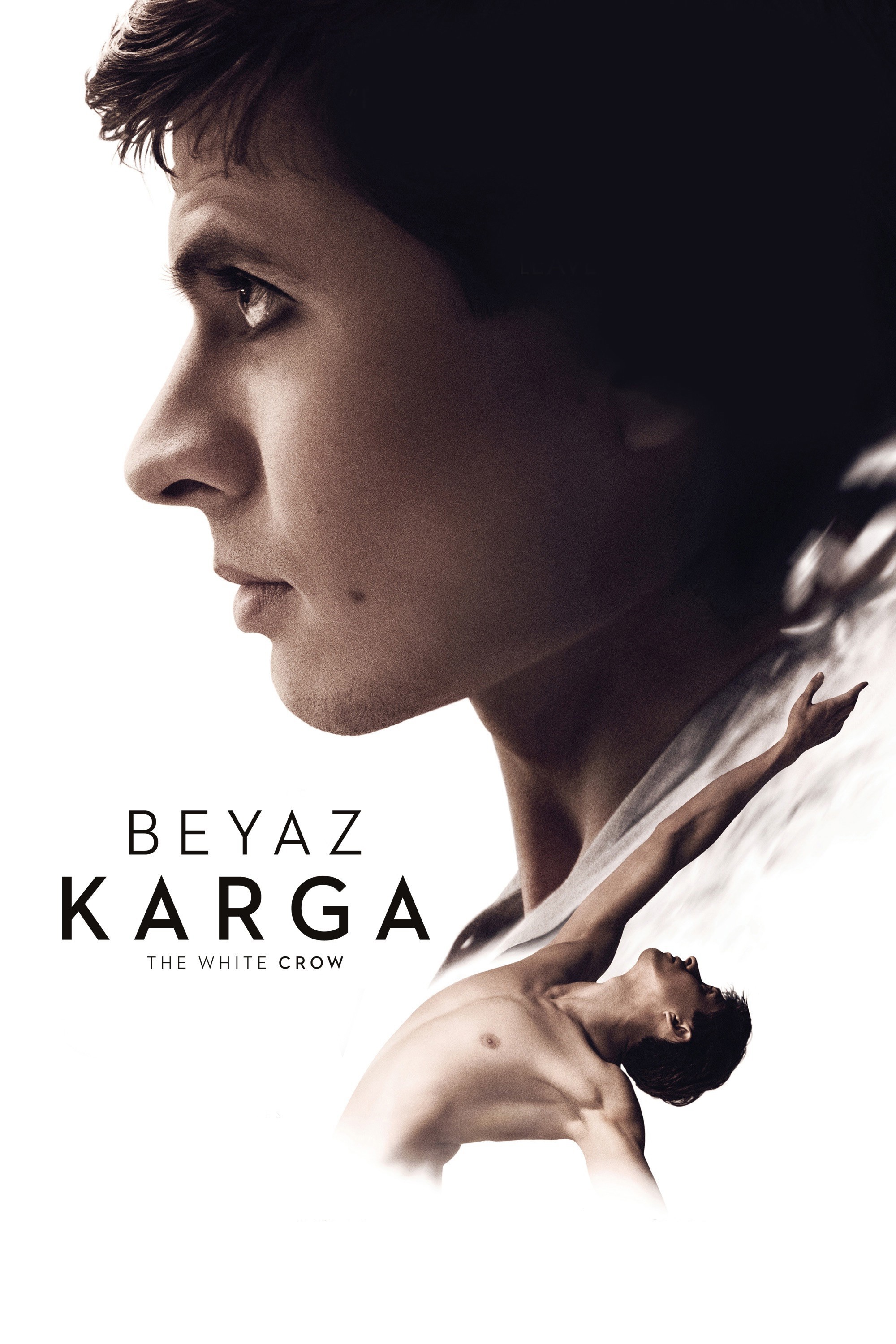 Beyaz Karga