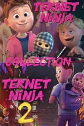 Damalı Ninja (Ternet Ninja) Koleksiyonu