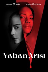 Yaban Arısı