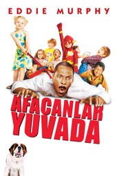 Afacanlar Yuvada