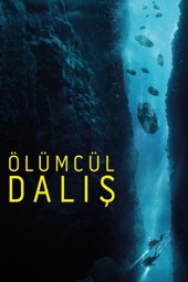 The Dive
