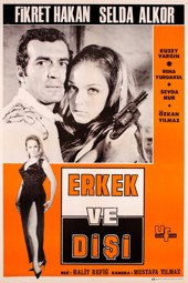 Erkek ve Dişi