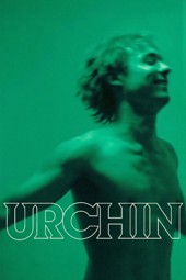 Urchin