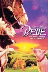 Bebe