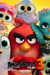 Angry Birds Filmi 3