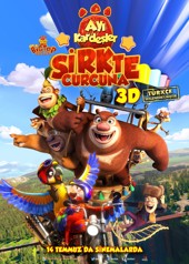 Ayı Kardeşler: Sirkte Curcuna
