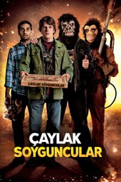 Çaylak Soyguncular