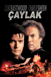 Çaylak