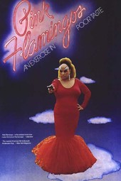 Pembe Flamingolar