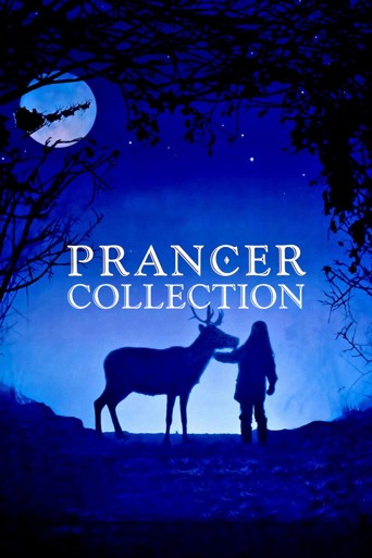Prancer Koleksiyonu