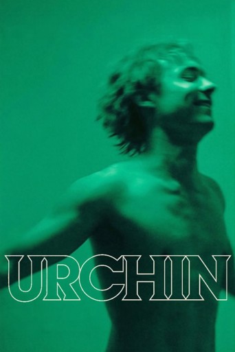 Urchin