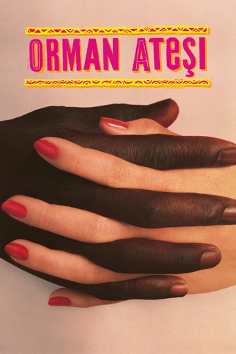 Orman Ateşi