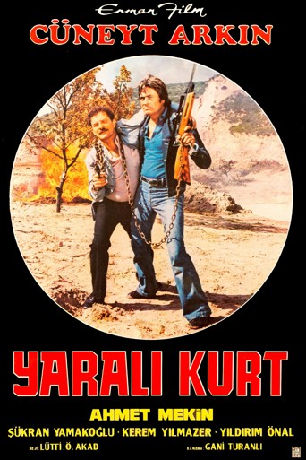 Yaralı Kurt
