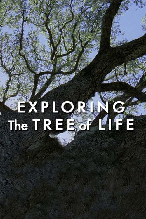 Exploring 'The Tree of Life' kapak görseli