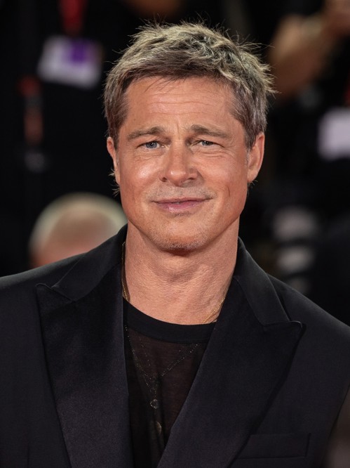 Die Brad Pitt Story kapak görseli