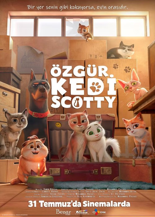 Özgür Kedi Scotty kapak görseli