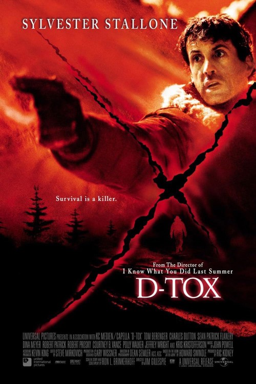 D-Tox kapak görseli
