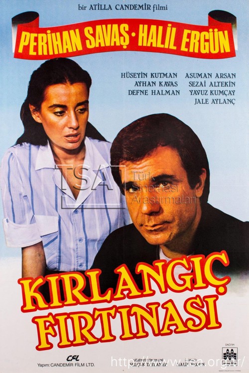 Kırlangıç Fırtınası kapak görseli