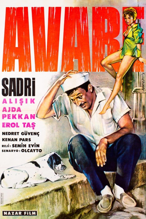 Avare kapak görseli
