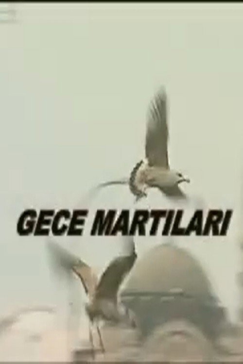 Gece Martıları kapak görseli