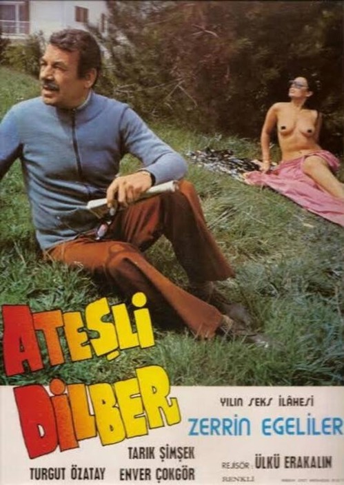 Ateşli Dilber kapak görseli