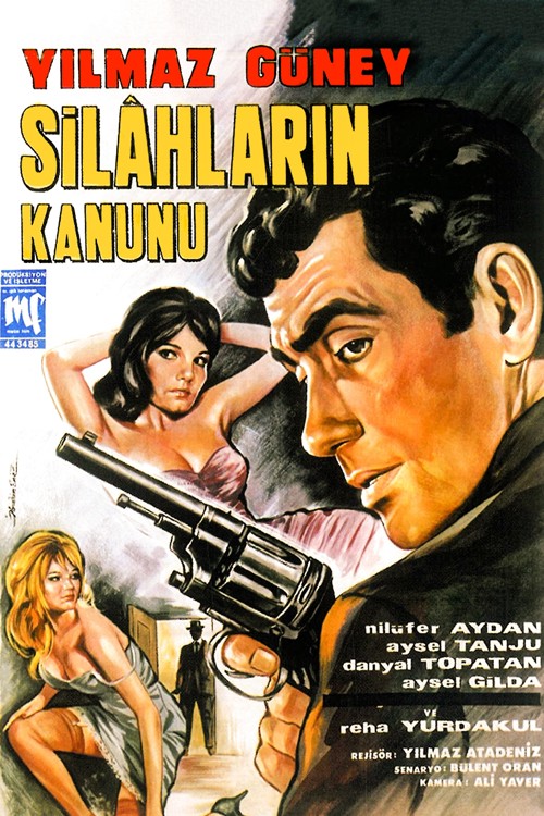 Silahların Kanunu kapak görseli