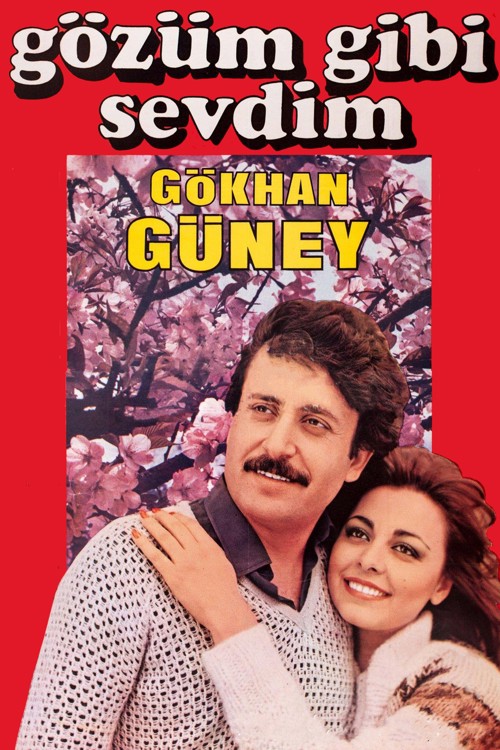 Gözüm Gibi Sevdim kapak görseli