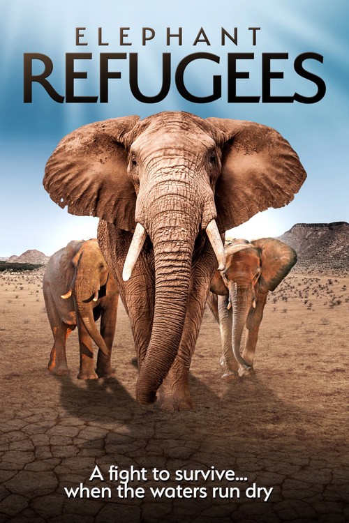 Elephant Refugees kapak görseli