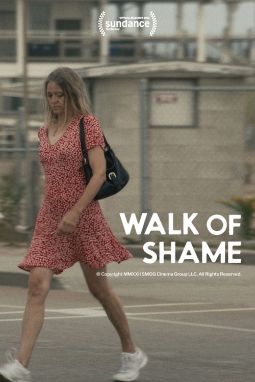 Walk of Shame kapak görseli