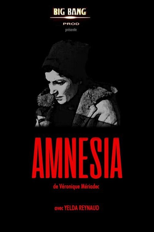 Amnesia kapak görseli