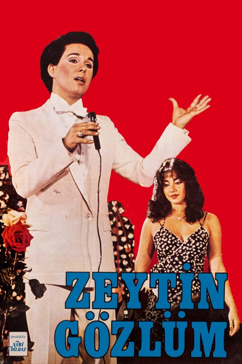 Zeytin Gözlüm kapak görseli