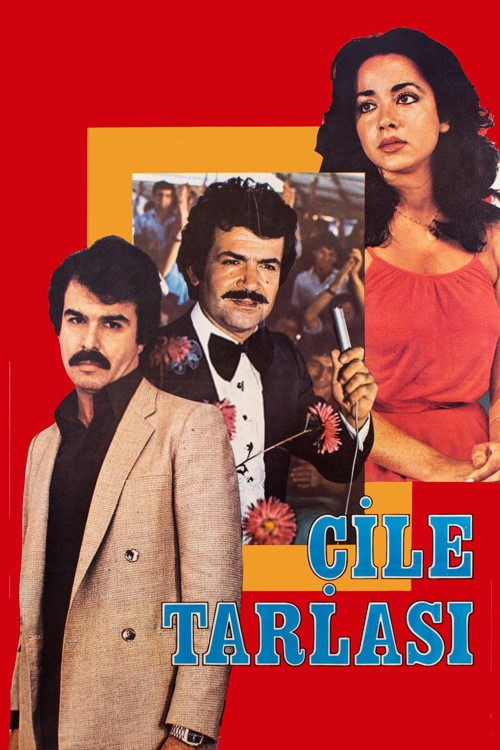 Çile Tarlası kapak görseli