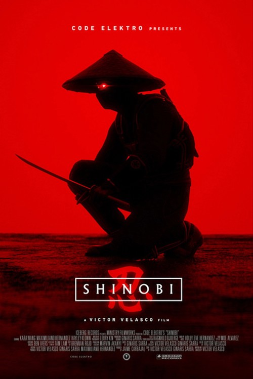 Shinobi kapak görseli