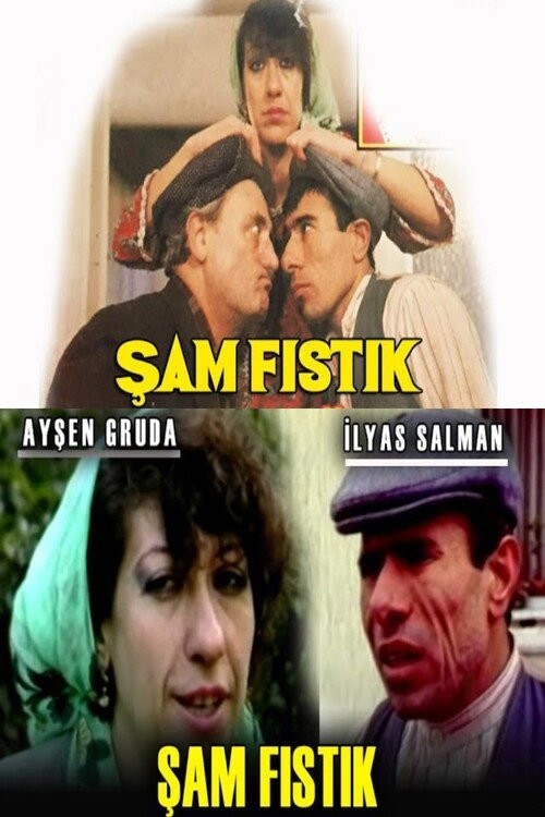 Şam Fıstık kapak görseli