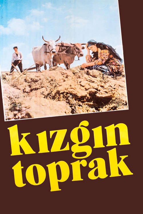 Kızgın Toprak kapak görseli