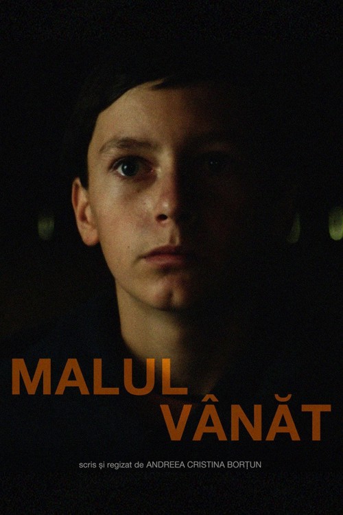 Malul Vânăt kapak görseli