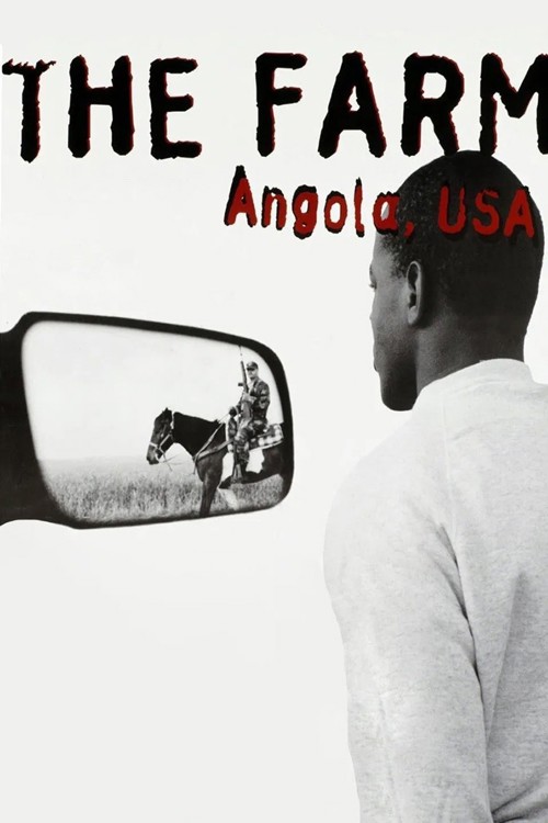 The Farm: Angola, USA kapak görseli