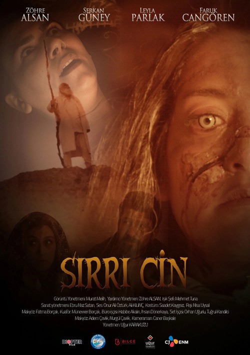 Sırrı Cin kapak görseli
