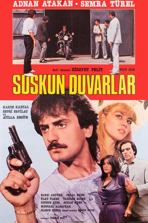 Suskun Duvarlar kapak görseli