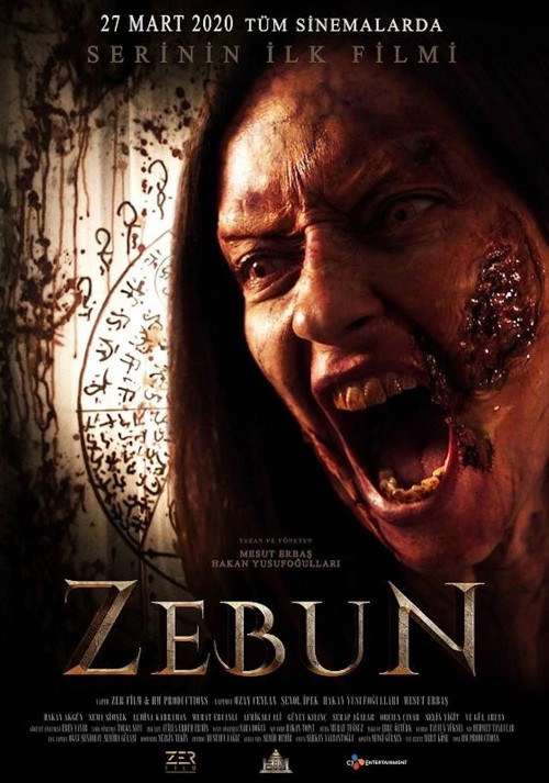 Zebun kapak görseli