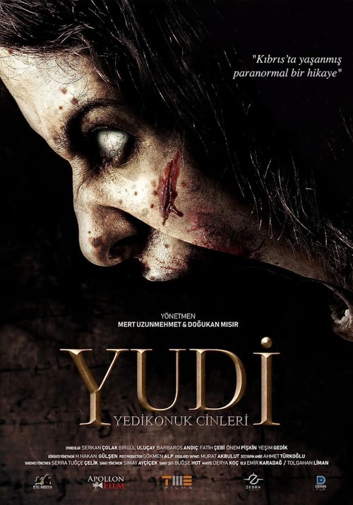 Yudi: Yedikonuk Cinleri kapak görseli