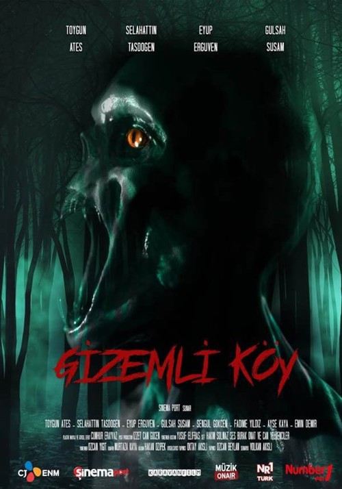 Gizemli Köy kapak görseli